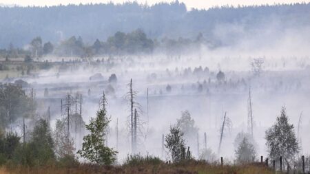Children Born In Europe Will Experience Nearly Double the Extreme Fire Weather Days as Their Grandparents