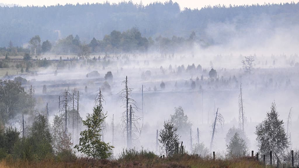 Children Born In Europe Will Experience Nearly Double the Extreme Fire Weather Days as Their Grandparents