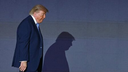 What Trump’s Intensifying Hunt for Non-Citizen Voters Is Showing