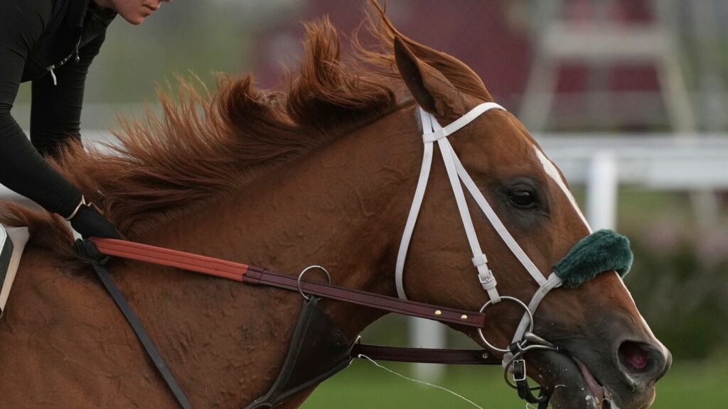 Kentucky Derby: How evolution shaped Churchill Downs’s elite horses