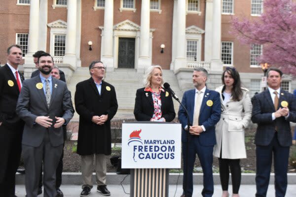 Del, Kathy Szeliga (R-Baltimore County) speaks at a Freedom Caucus anti-tax rally during the 2025 legislative session. (File photo Bryan P. Sears/Maryland Matters)