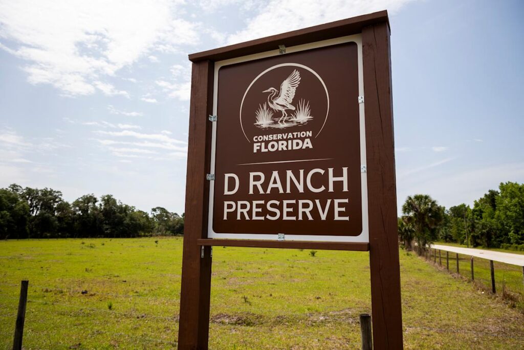 Newly-opened D Ranch Preserve protects nearly 500 acres of wild Florida