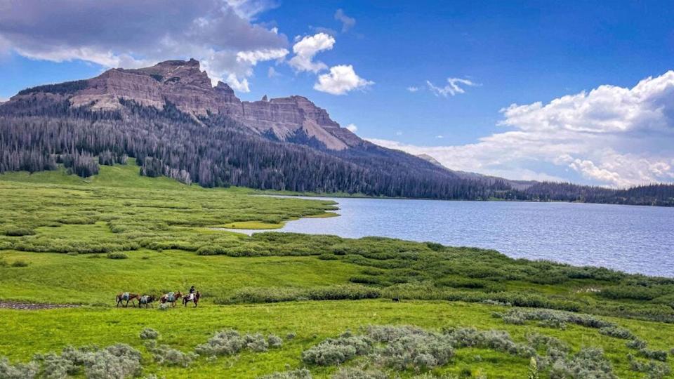 Horseback rides are a great way to take in the scenery.