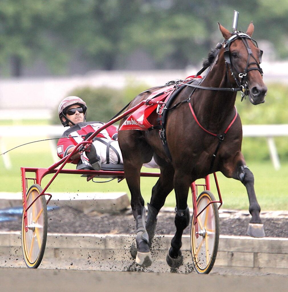 Should there be a casino at Meadowlands Racetrack? Monmouth Park? Voters might have a say