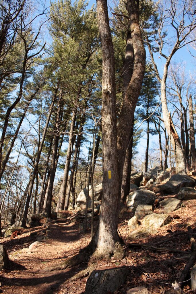 If ‘conservation’ is the goal, why emphasize public access to natural land?