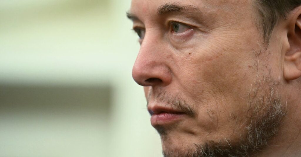 Why Is Elon Musk Leaving The Trump Administration?