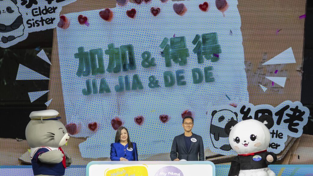 Hong Kong’s baby pandas finally get names. Meet Jia Jia and De De