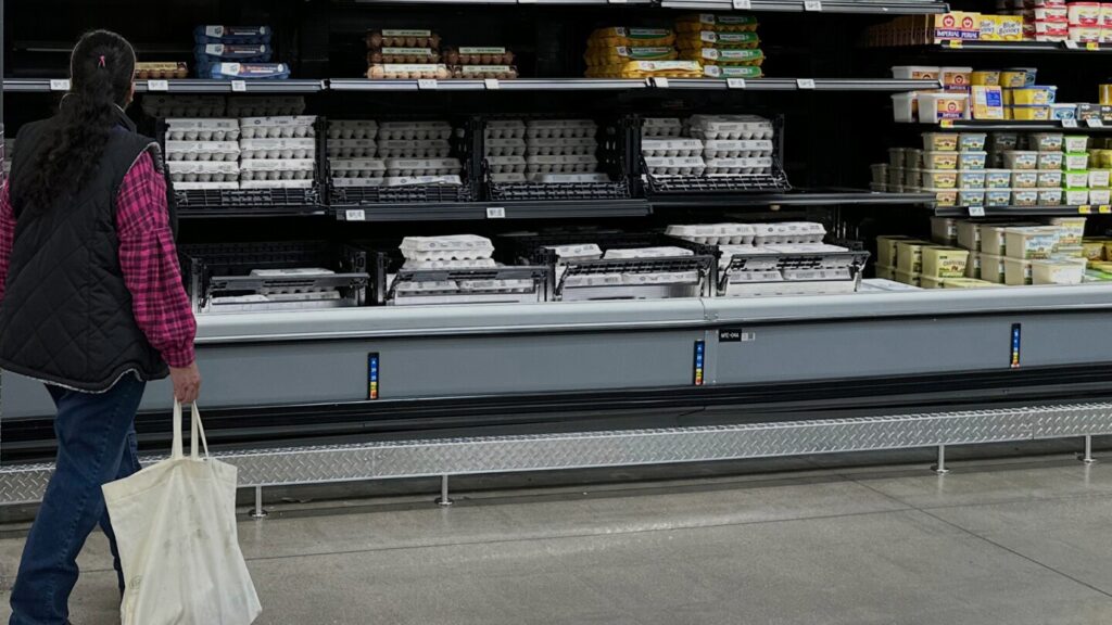 US wholesale prices dropped 0.5% last month despite President Trump’s tariffs