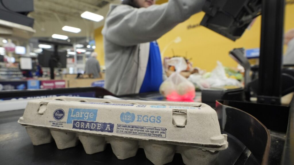 US egg prices fall for the first time in months but remain near record highs