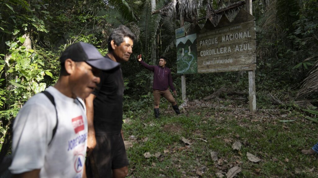 Peru court rules in favor of Kichwa territorial rights in the Amazon
