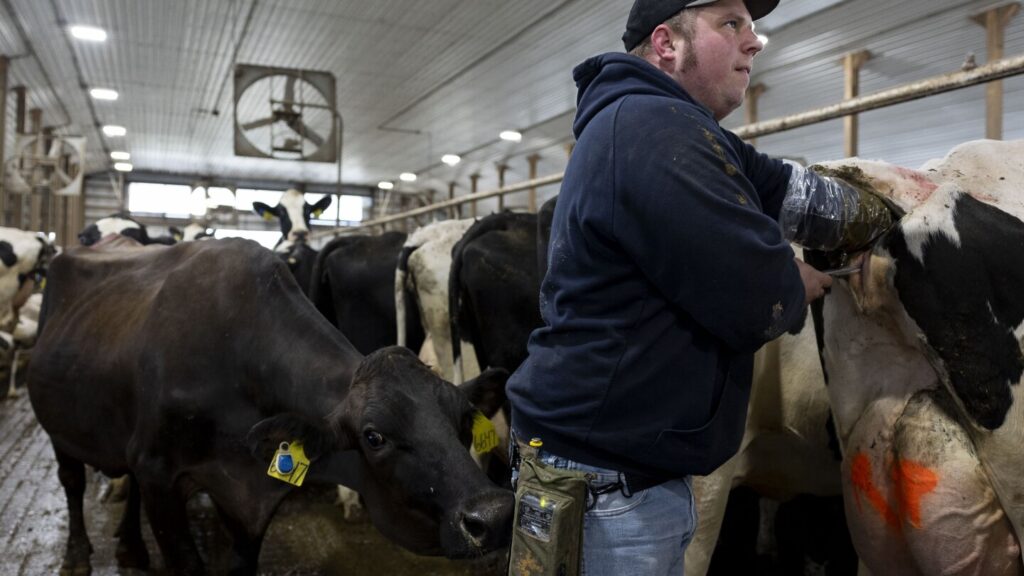 Organic acreage is shrinking in America