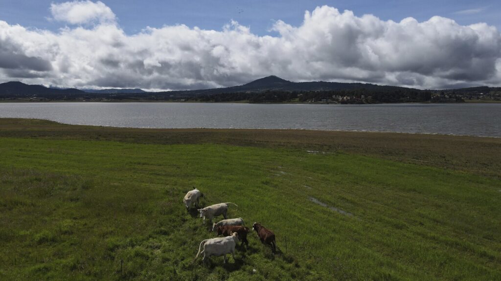 Mexico says US suspension of beef imports because of screwworm is unfair