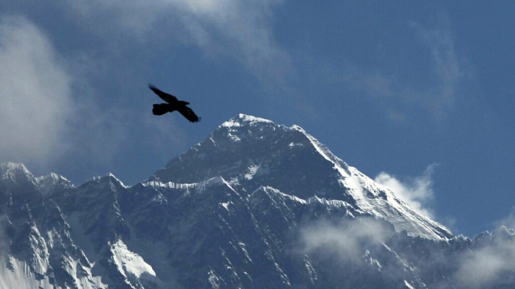 British climber scales Everest for 19th time, breaking own record for most climbs by a non-Sherpa