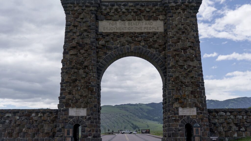 A Florida man is gored by a bison at Yellowstone National Park