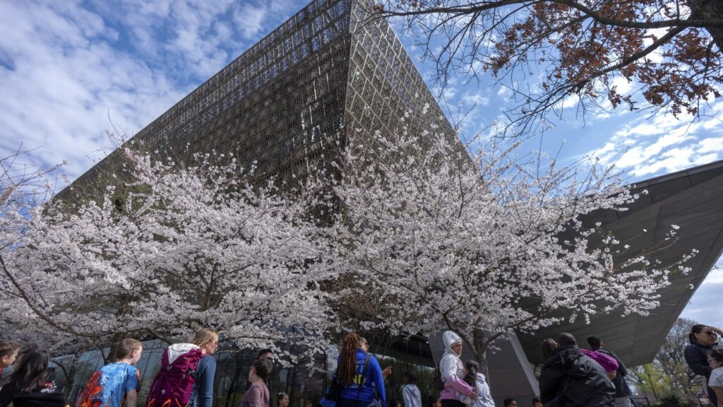 Pastor told books loaned to African American museum may be returned