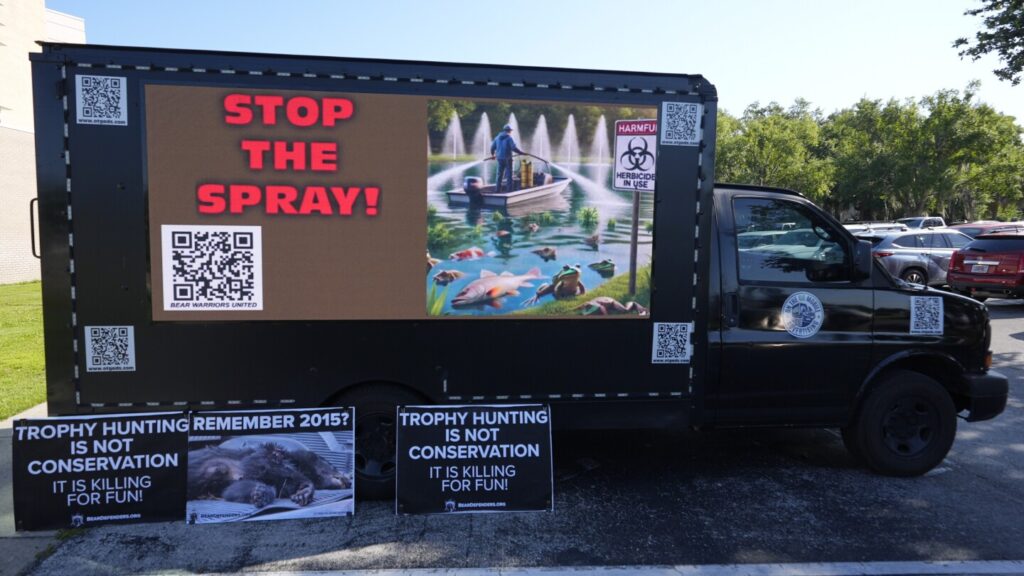 Florida considers controversial black bear hunt amid strong opposition