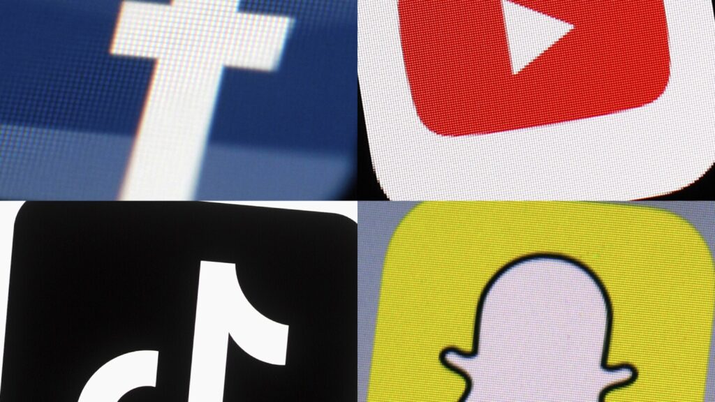 Georgia is the 8th state sued over age verification for children on websites