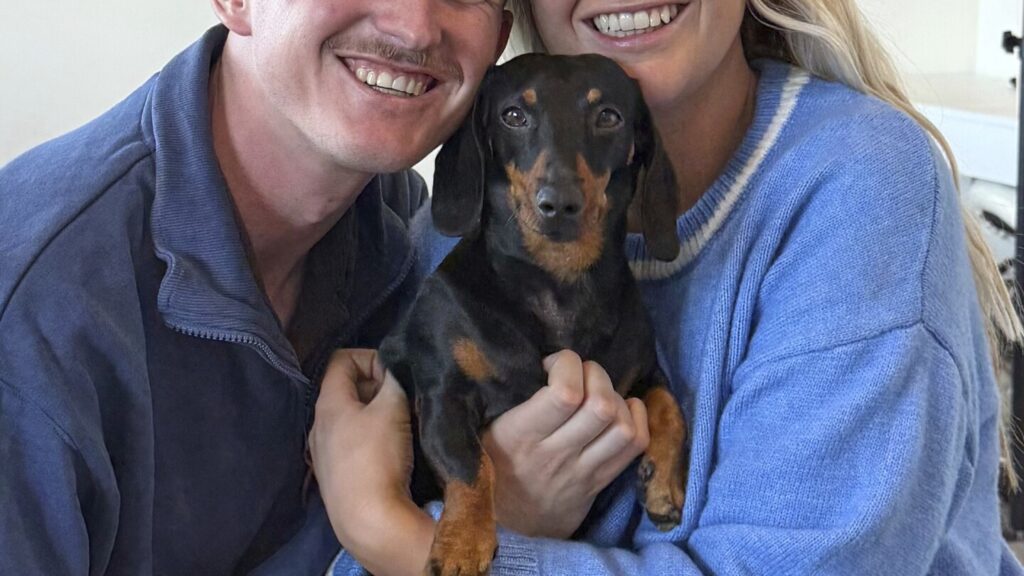 A miniature dachshund is reunited with its owner after 18 months lost on an Australian island