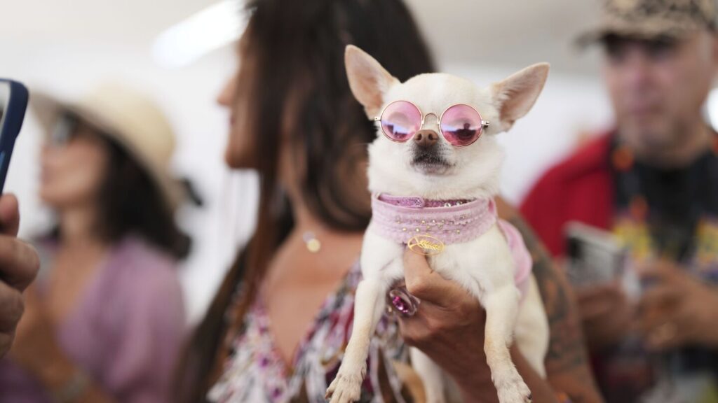 AP PHOTOS: Highlights from Day 11 of the Cannes Film Festival