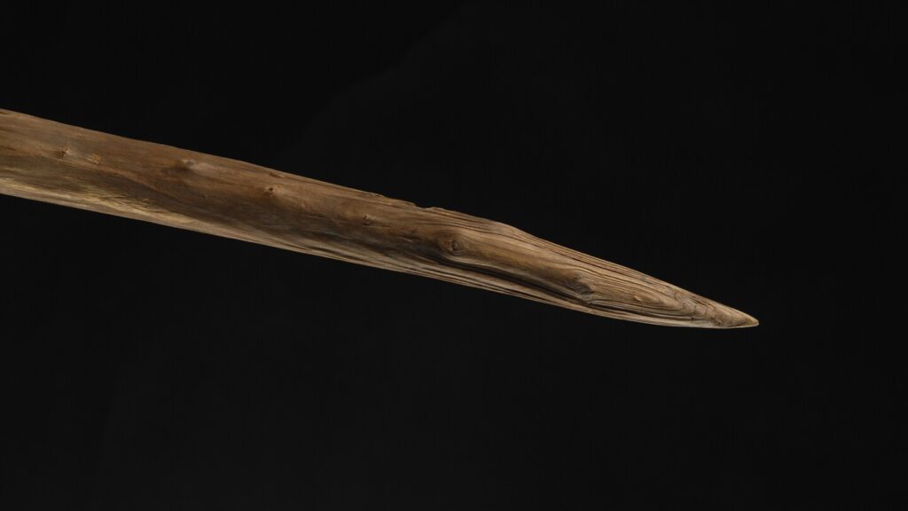 Ancient wooden spears found in Germany may have been wielded by Neanderthals, new study suggests