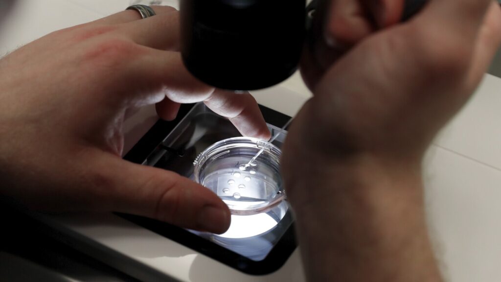 White House says Trump is reviewing IVF policy recommendations promised in executive order
