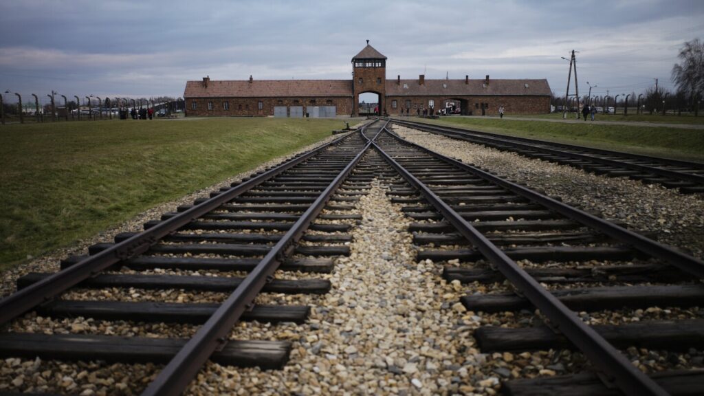 Dave Portnoy says he will send customers behind antisemitic sign to tour Auschwitz