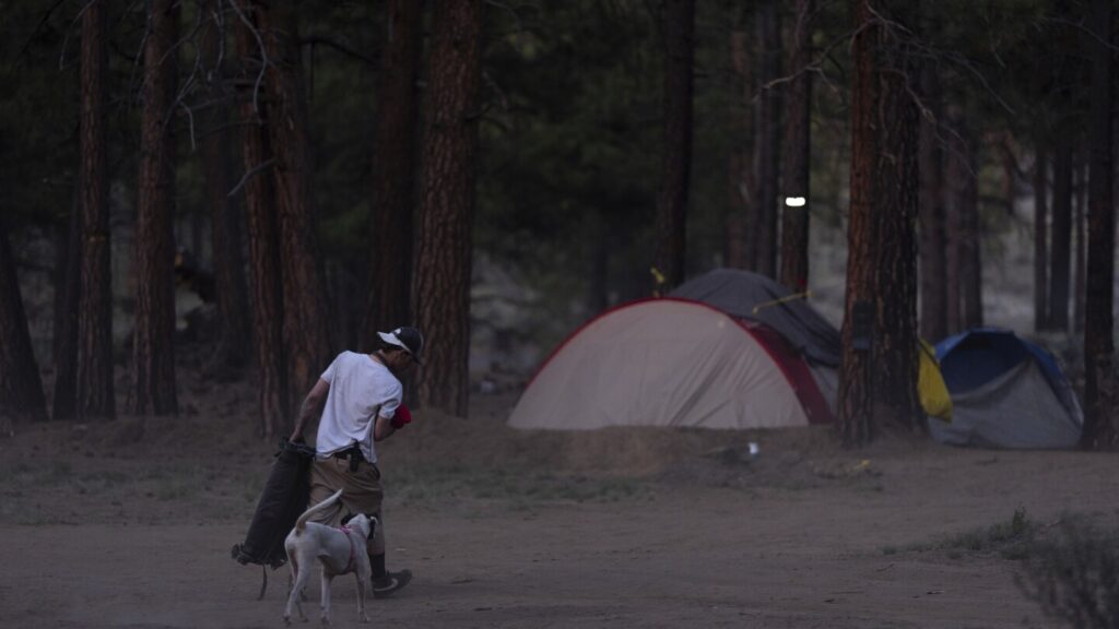 Homeless camp in Oregon national forest to be cleared