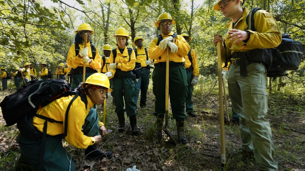 Forest and park service worker cuts leave wildland firefighting crews short-staffed