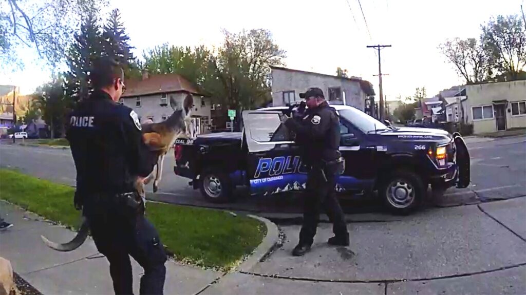 Loose pet kangaroo keeps police hopping — again — in Colorado