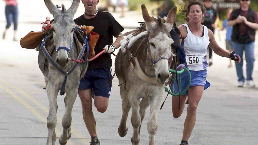 Burro racing wins over runners in backcountry ode to mining history