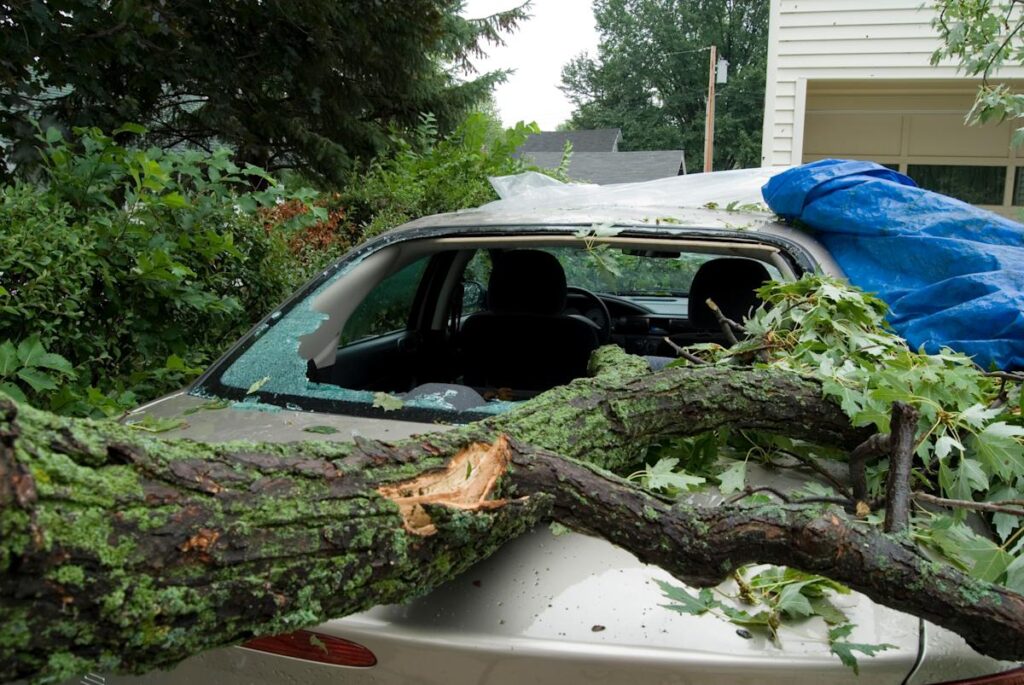 How extreme weather is increasing the cost of your auto insurance