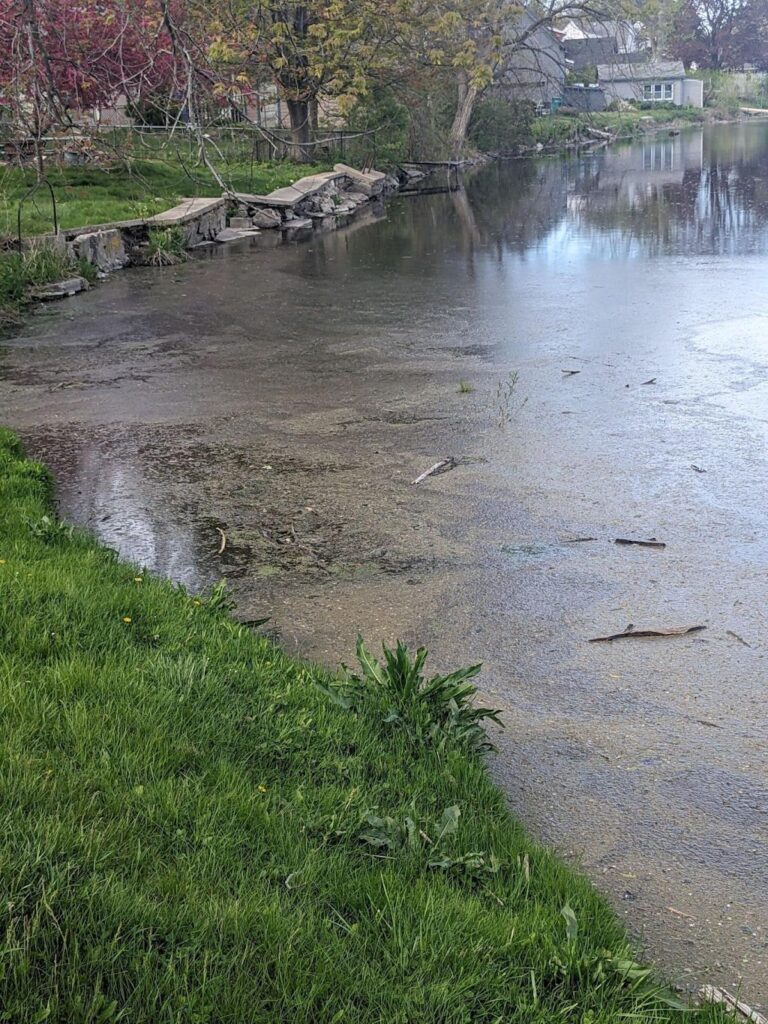 Cedarburg defers decision on studying the Woolen Mills Dam repair or removal