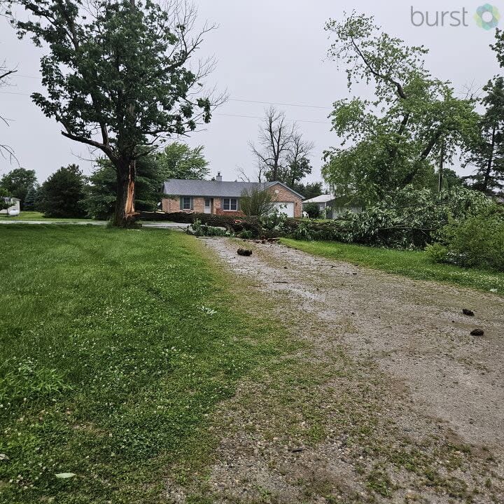 Tree Down in Verona