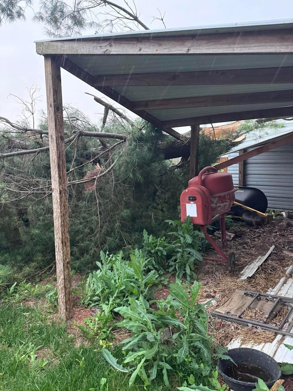 Tree down in Covington