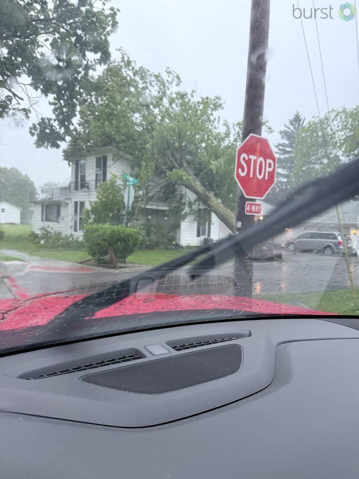 Tree on House in Indiana