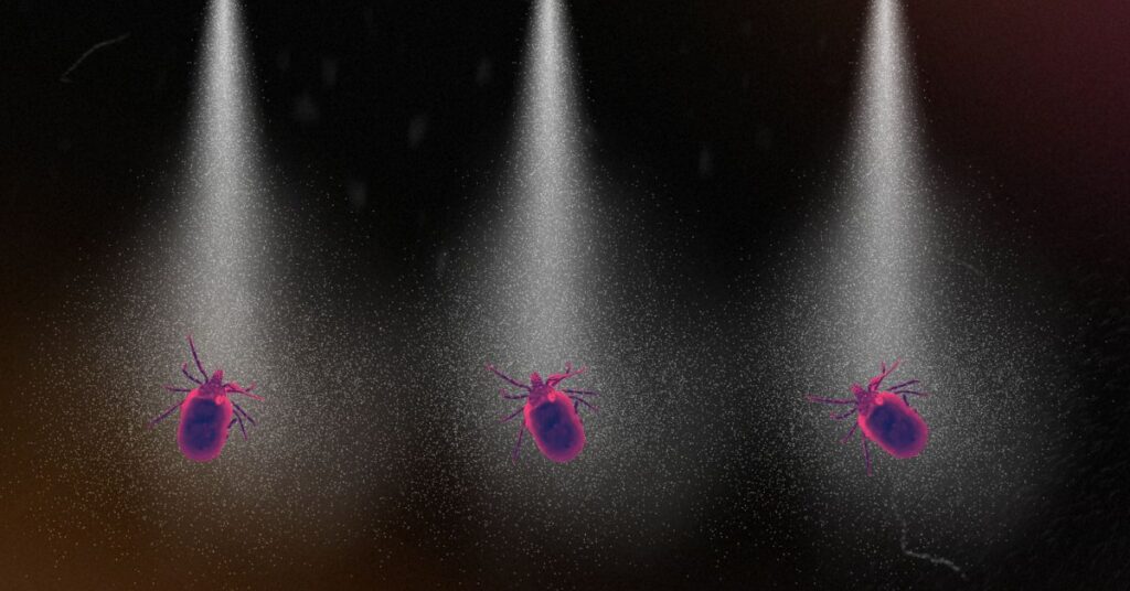 What Experts Use to Repel Ticks and Mosquitoes