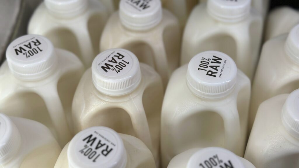 Here’s why raw milk drinkers need to be concerned about bird flu in US dairy cows