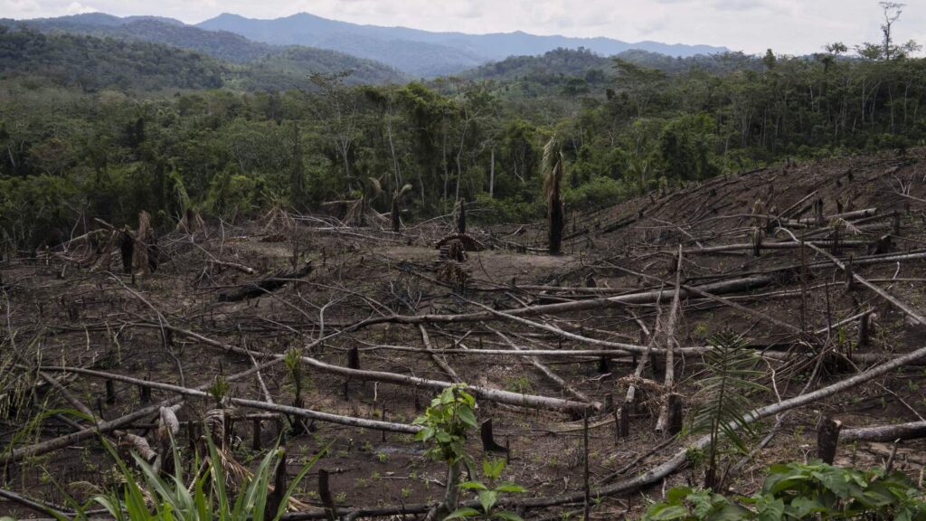 Cuts to USAID severed longstanding American support for Indigenous people around the world