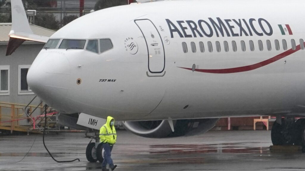 NTSB: Boeing 737 Max and some Airbus engines need fix to prevent smoke in cabin after bird strikes