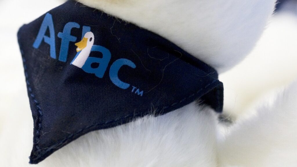 Aflac finds suspicious activity on US network that may impact Social Security numbers, other data