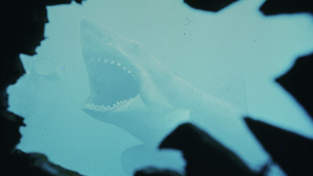 Think you know ‘Jaws’? Test your knowledge with these 16 bits of lore