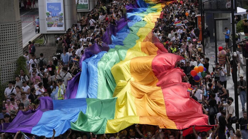Pride Month: LGBTQ+ celebrations and protests