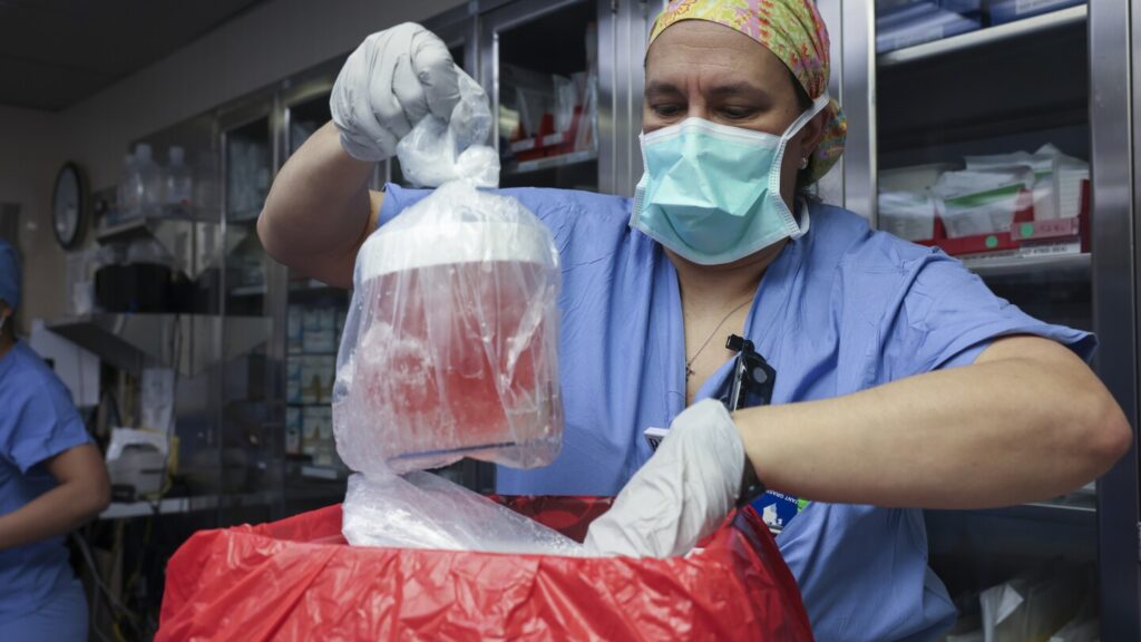 US surgeons transplanted pig kidney into patient for the first time, hospital says