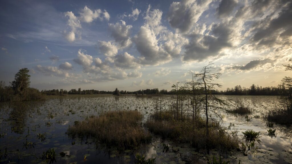 Mining project near the Okefenokee Swamp has stalled over a M permit requirement