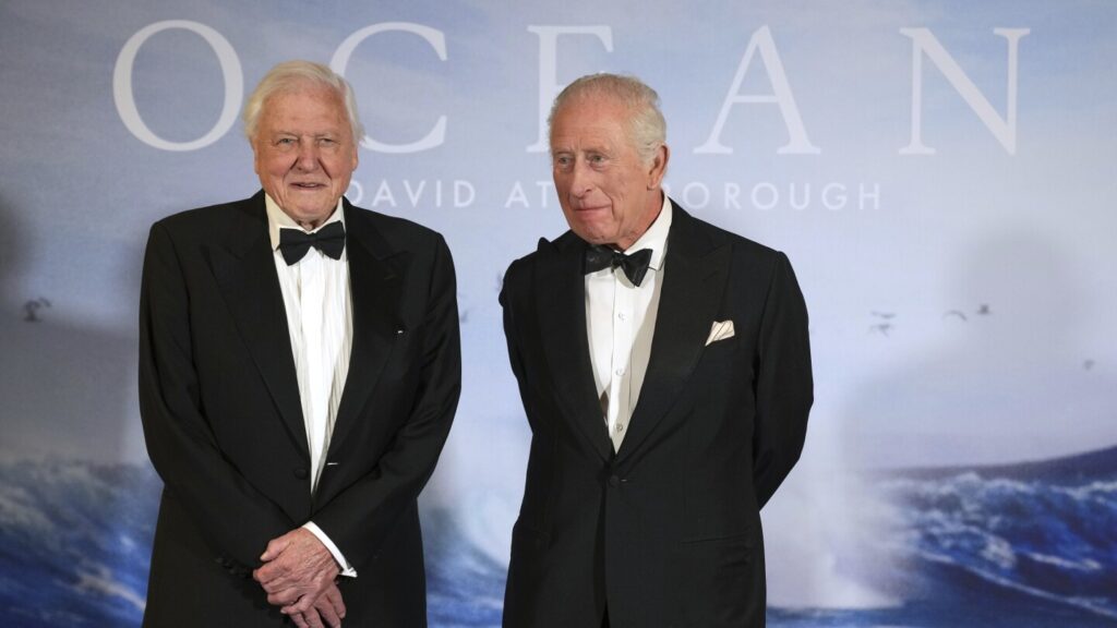 David Attenborough’s ‘Ocean’ exposes the unseen destruction of the seas
