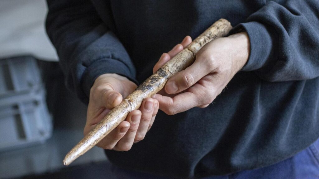 Scientists date the oldest known tools made from whale bones to 20,000 years ago
