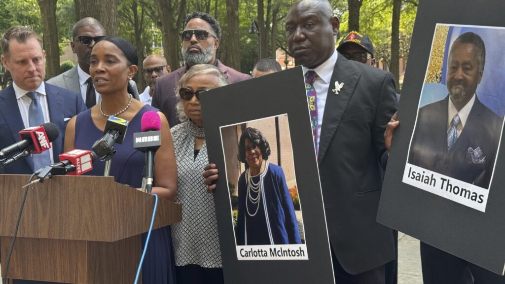 Families of those killed in collapse of Georgia ferry dock sue companies that built it