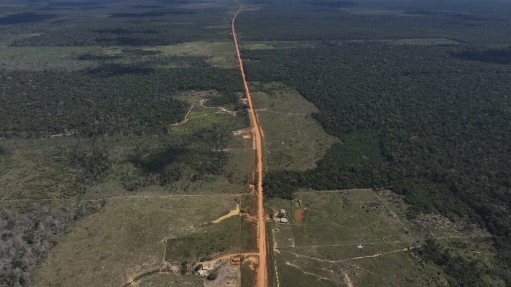 Brazil’s Amazon forest loses in May an area larger than NYC