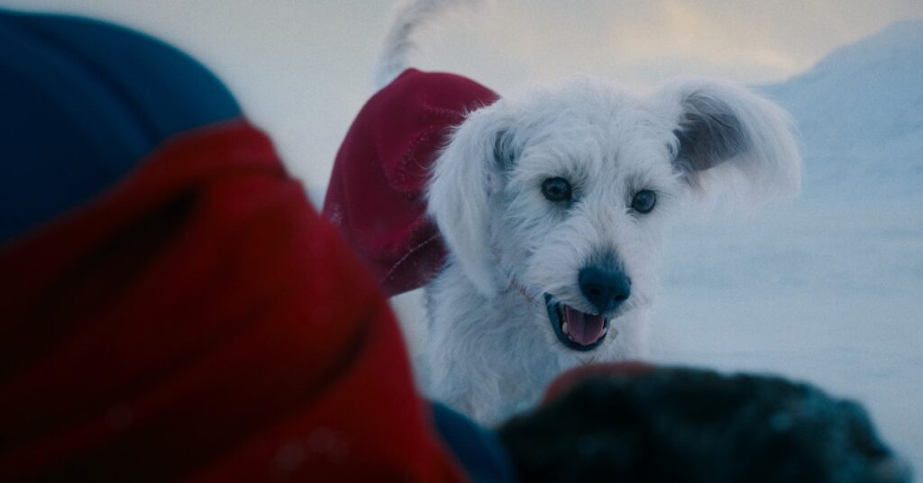 The Long History Behind Krypto the Superdog