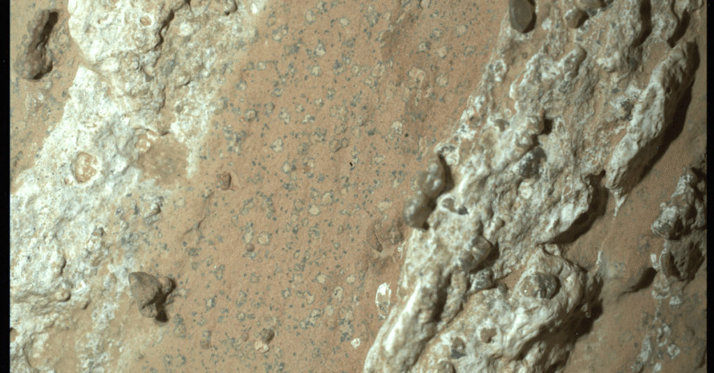 What NASA’s Discovery Reveals About Life on Mars